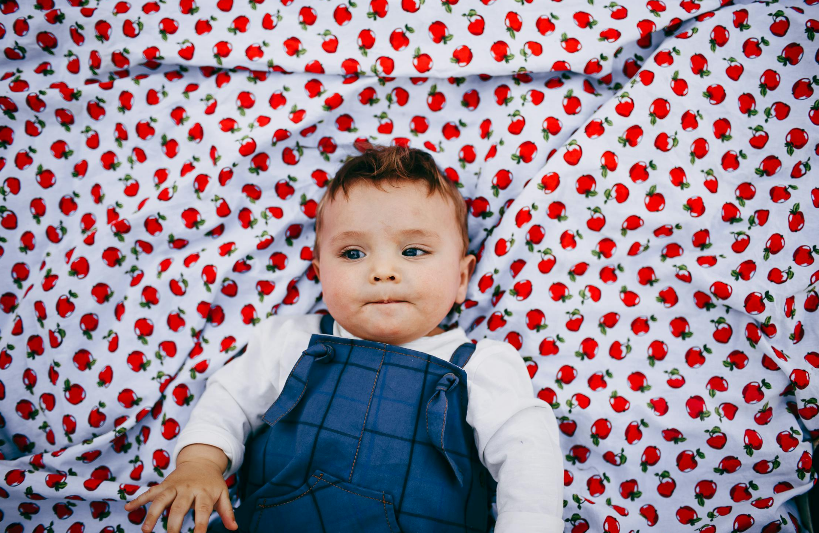 Best Luxury Baby Carriers in 2026 - BabbleRoo