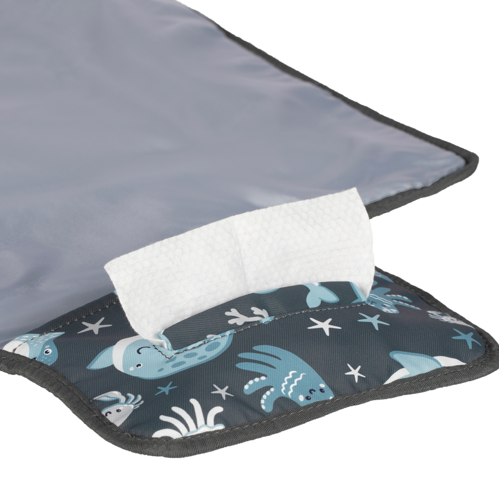 Portable Changing Mat