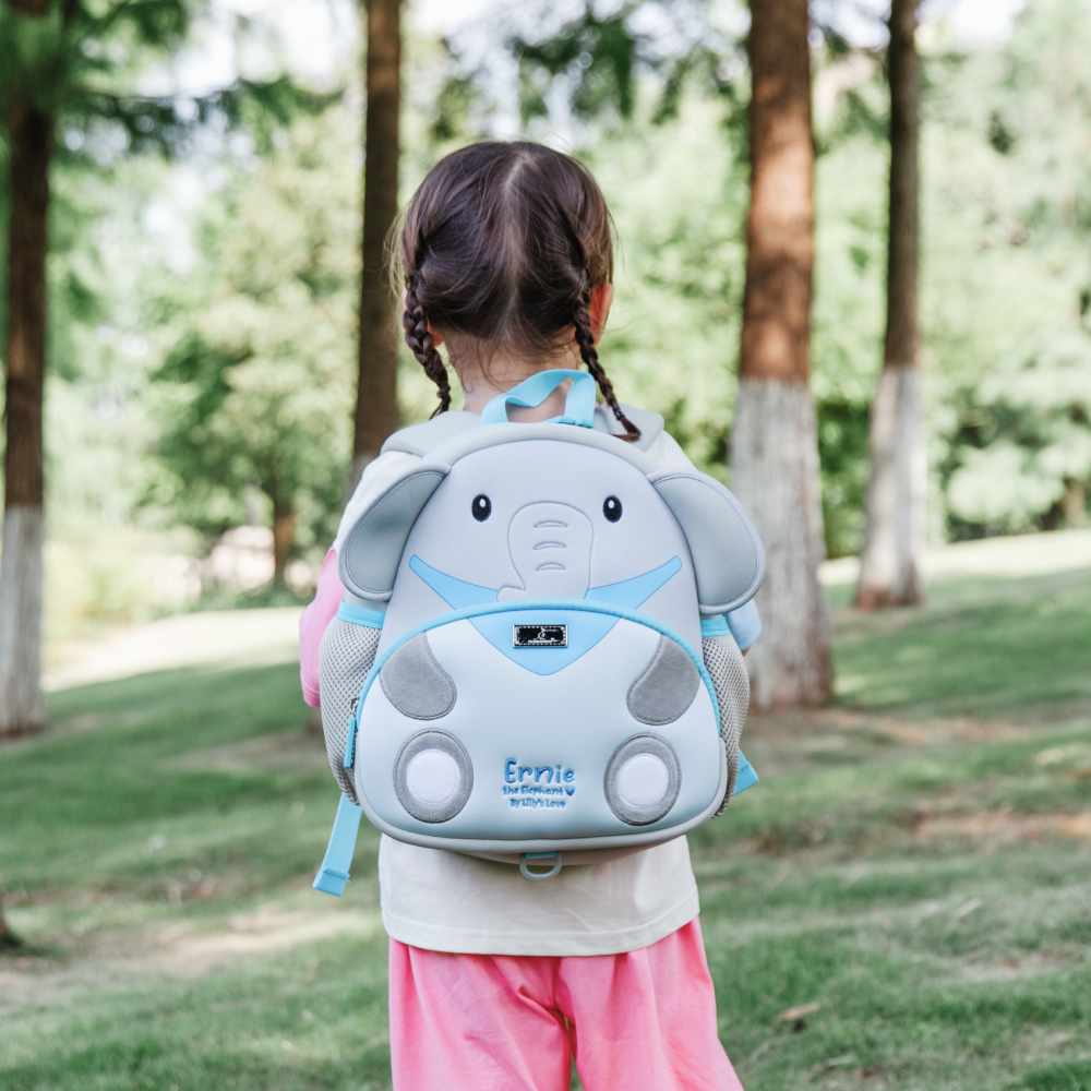 Toddler Backpack